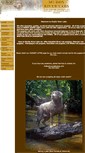 Mobile Screenshot of muddyriverlabs.com